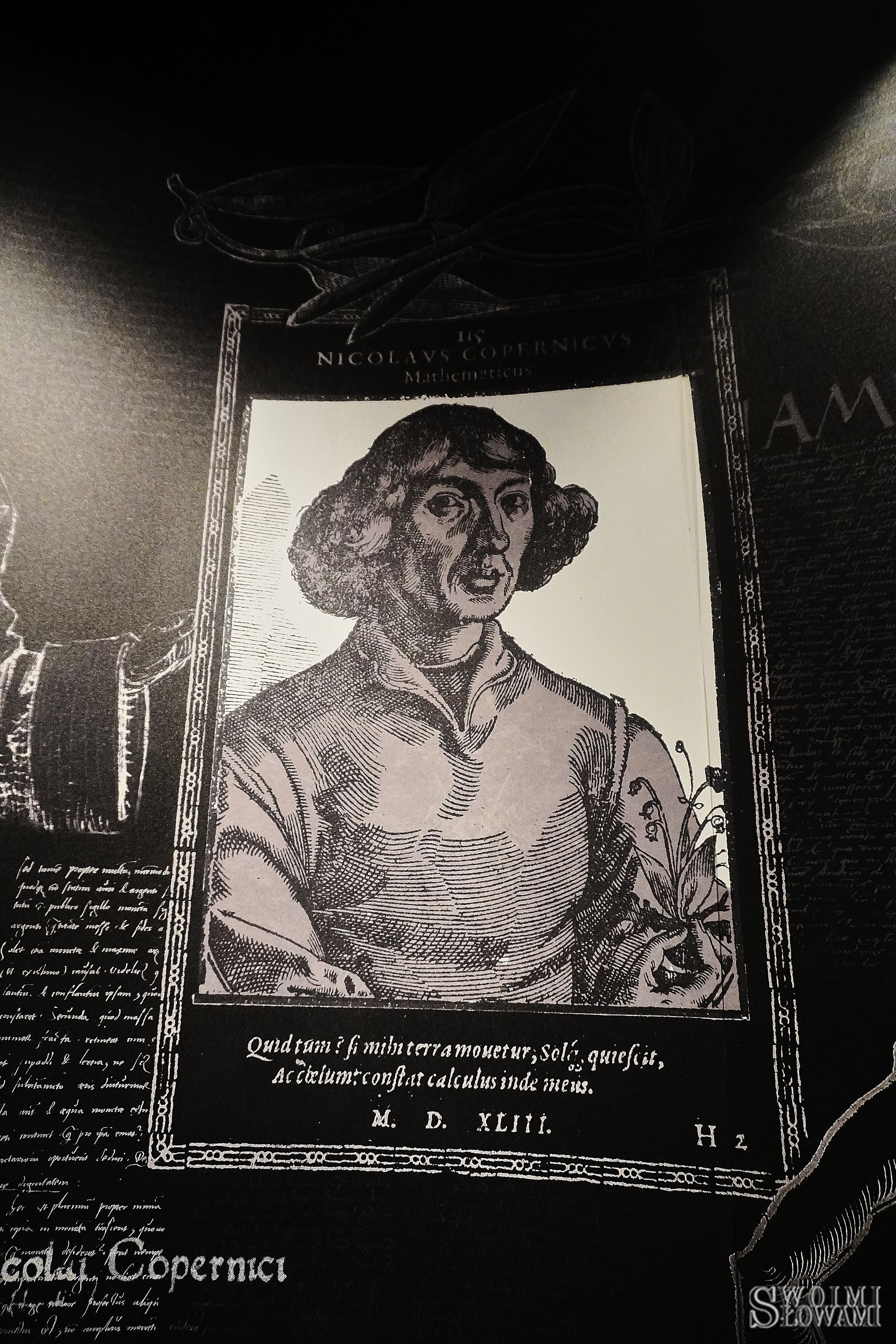 Dom Kopernika w Toruniu 55.jpg
